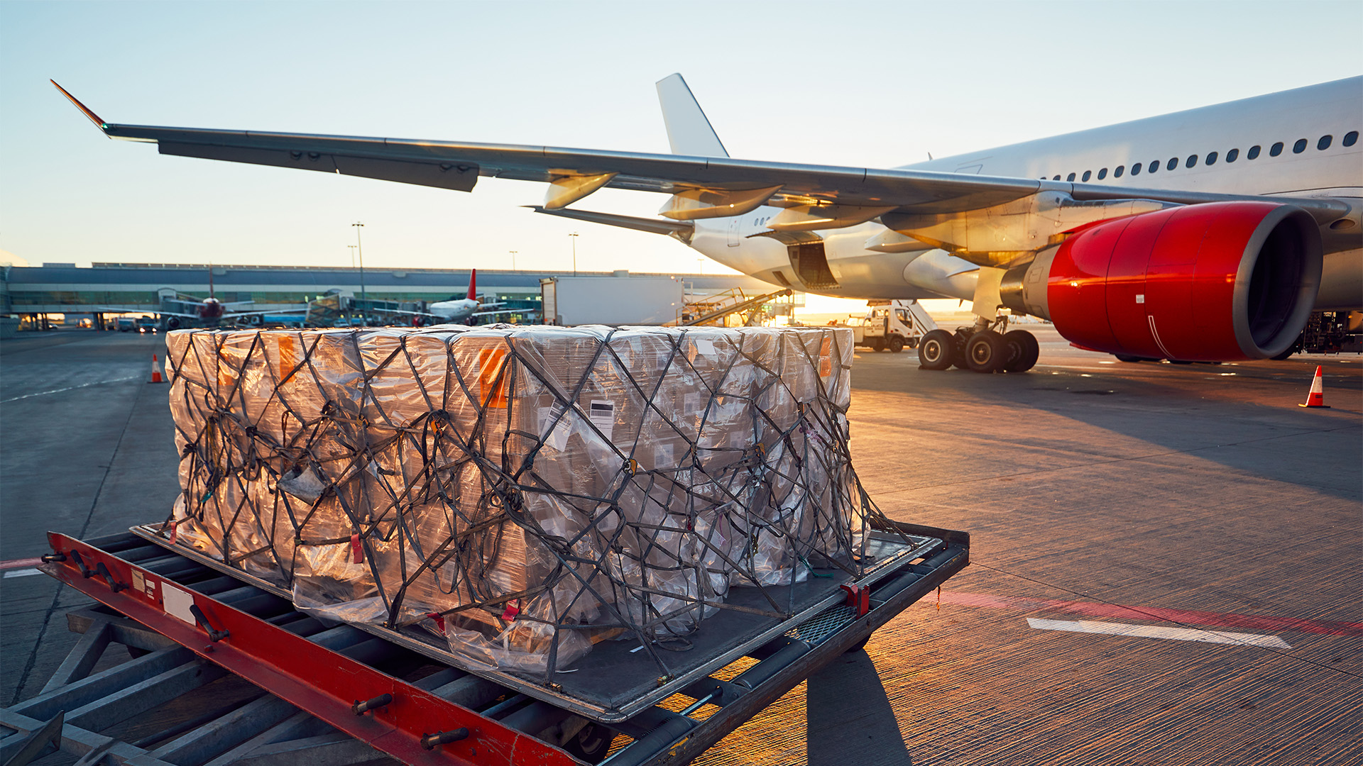 International cargo aircraft